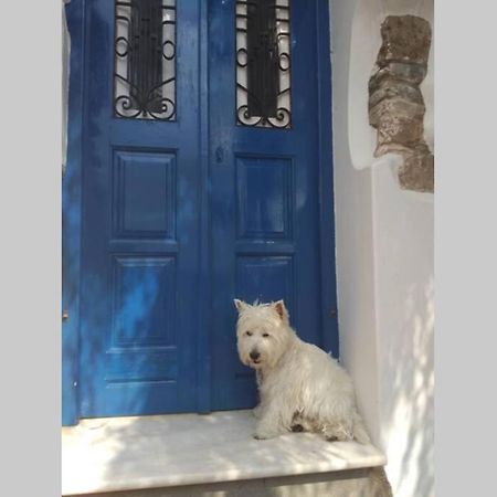 Blue & White: An Absolute Aegean Dream House Villa Galíni Kültér fotó