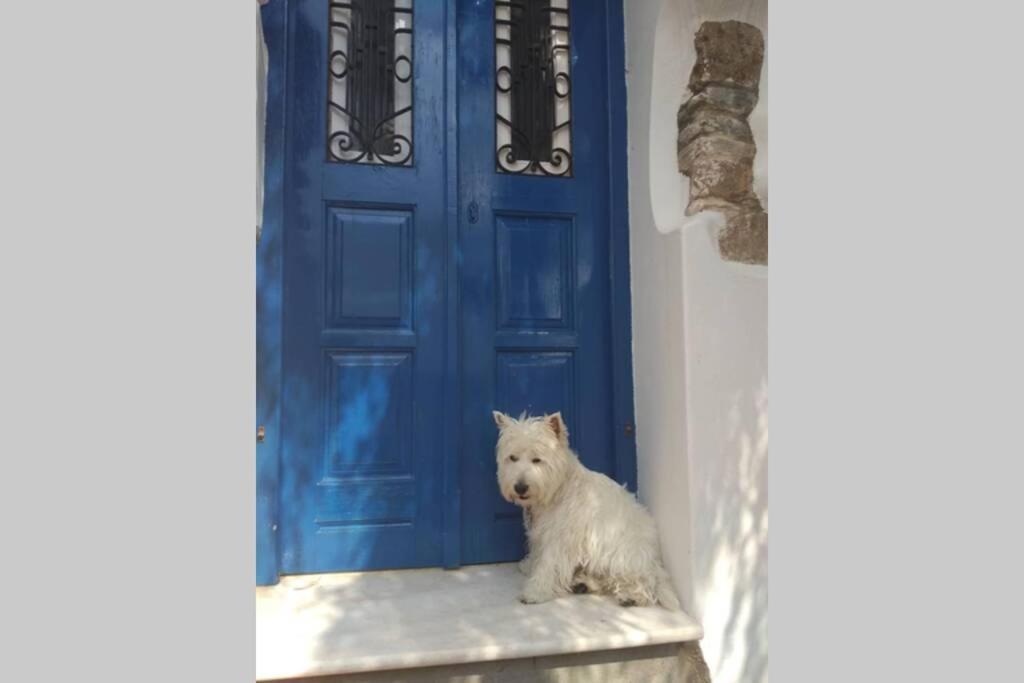 Blue & White: An Absolute Aegean Dream House Villa Galíni Kültér fotó